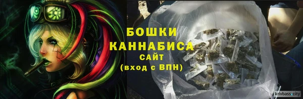 spice Бронницы