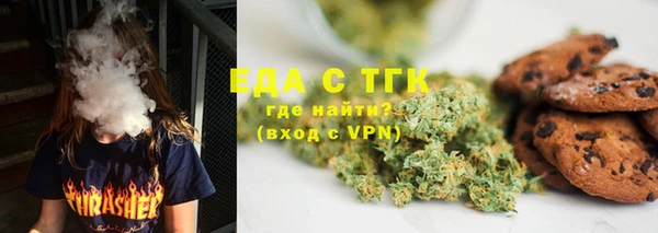 тгк Бородино