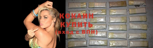 тгк Бородино