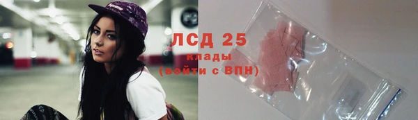 тгк Бородино