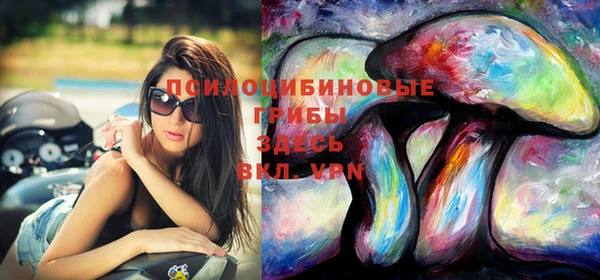 spice Бронницы