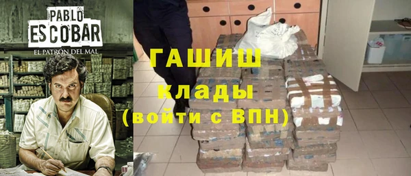 тгк Бородино