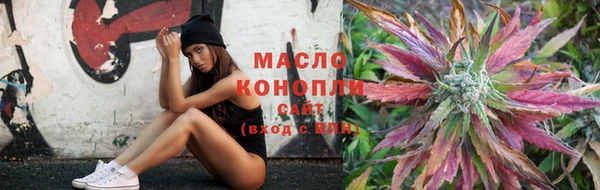 тгк Бородино