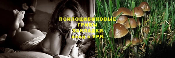 сатива Бугульма