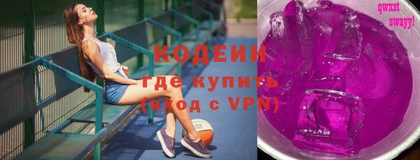тгк Бородино