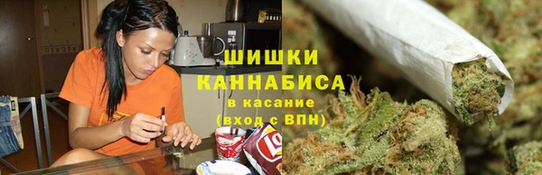 сатива Бугульма