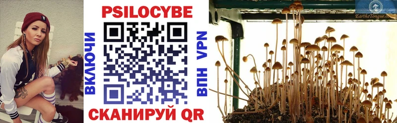 Галлюциногенные грибы Cubensis  МЕГА ТОР  Неман 